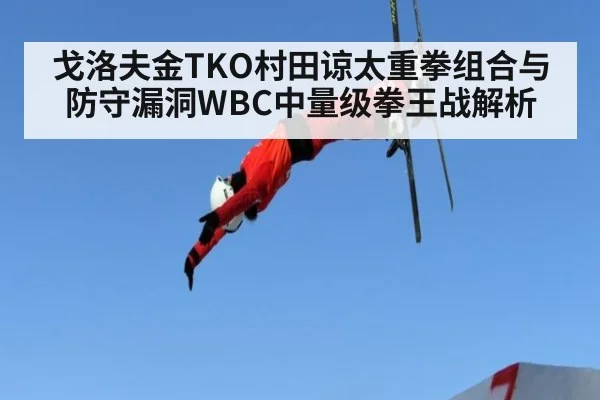 戈洛夫金TKO村田谅太重拳组合与防守漏洞WBC中量级拳王战解析