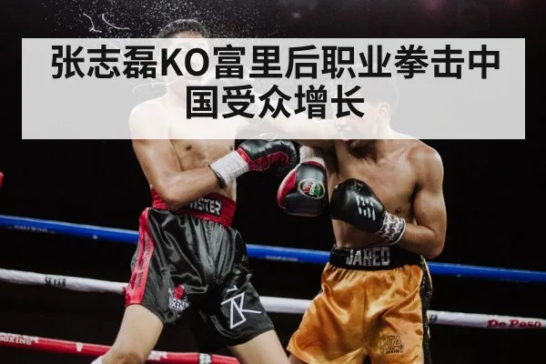 张志磊KO富里后职业拳击中国受众增长